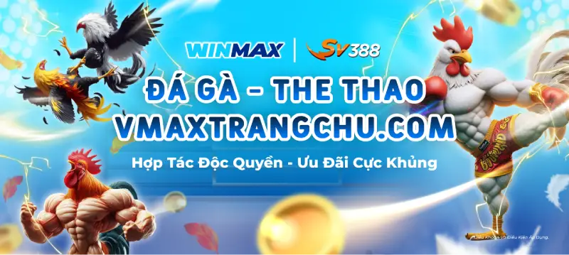 VMAXTRANGCHU 1