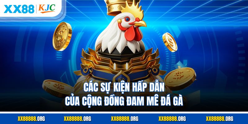 Các sự kiện hấp dẫn của cộng đồng đam mê đá gà