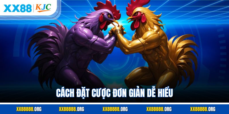 Cách đặt cược đơn giản dễ hiểu