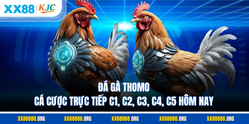 Đá Gà Thomo