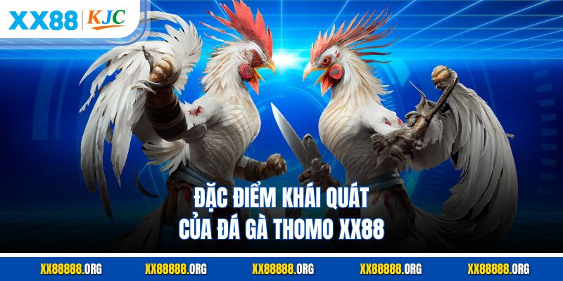 Đặc điểm khái quát của đá gà thomo XX88