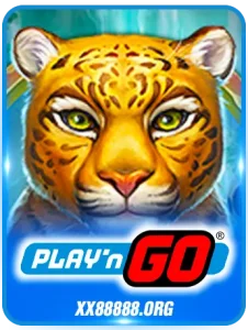 plasyngo